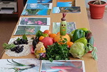Подведены итоги муниципального этапа областных конкурсов садоводов-огородников «Это вырастил Я» и фотопроекта «Гляжу в озера синие»
