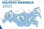 В первом полугодии 2021 года в России пройдет экономическая перепись малого бизнеса