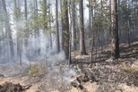 Евгений Куйвашев поставил задачу – добиться сокращения площади лесных пожаров