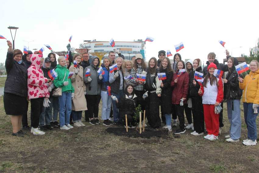 Проект аллея выпускников