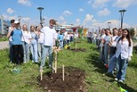 Пять новых яблонь украсили Аллею медалистов в Каменске-Уральском