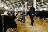 Приём заявок на гранты до 8 миллионов рублей начинающим сельхозпроизводителям стартовал в Свердловской области