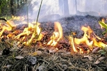 Как предупредить осенние пожары в садах и на дачных участках