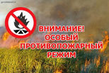 На территории городского округа установлен особый противопожарный режим