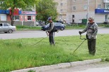 В Каменске-Уральском идет кошение травы В Каменске-Уральском идет кошение травы