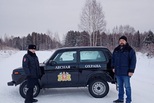 На Урале ловят браконьеров, которые рубят новогодние ели. Штраф — до 500 тысяч рублей
