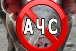 Африканская чума свиней. Будьте бдительны!