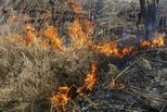По сообщению Уральского гидрометцентра 10 и 11 сентября местами в Свердловской области сохранится высокая пожарная опасность
