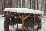 Погодные условия зимы благоприятно влияют на численность диких животных Свердловской области
