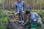 СинТЗ присоединился к Всероссийской акции «Сохраним лес»