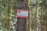 Двигаться на мотоциклах и питбайках по городским лесам запрещено
