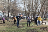 В Каменске-Уральском начался экологический месячник