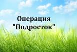 В Каменске-Уральском стартовала операция «Подросток» В Каменске-Уральском стартовала операция «Подросток»