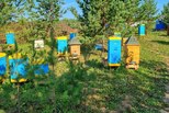 Свердловские фермеры получат 25 миллионов рублей на развитие агротуризма