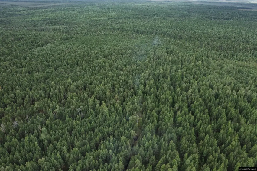 Пожароопасный сезон начал действовать в Свердловской области