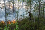 Уральские лесные пожарные ликвидируют в первые сутки 99% пожаров