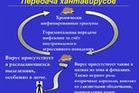 Хантавирус: симптомы и меры защиты