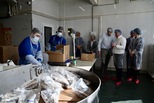 Переработку сахалинских морепродуктов успешно наладили в Свердловской области