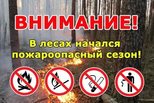 Пожароопасный сезон объявлен в Свердловской области с 5 апреля