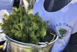 Денис Паслер назвал главную площадку акции «Сад памяти» в Свердловской области