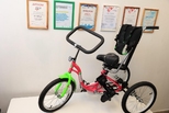 Создатели «Особого велосипеда» для детей с ДЦП получили грант на развитие бизнеса