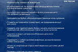 Правила поведения на водоёме