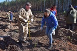 В рамках акции «Сохраним лес» в Свердловской области будет высажено 150 тысяч деревьев