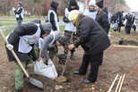 Каменск-Уральский присоединился к акции «Сохраним лес»