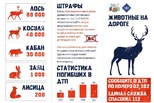 Госавтоинспекция напоминает: дикие животные на дороге — серьёзная опасность для всех участников движения.