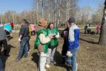 Более 80 тысяч уральцев навели порядок на общественных территориях Свердловской области в рамках «Месячника чистоты» Более 80 тысяч уральцев навели порядок на общественных территориях Свердловской области в рамках «Месячника чистоты»