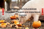 Департамент ветеринарии Свердловской области информирует: