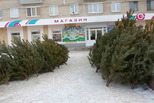 С 22 декабря в Каменске-Уральском начинают работу ёлочные базары