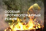 В период действия особого противопожарного режима рейды проводятся ежедневно
