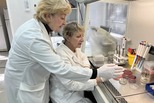 Уральские ученые запатентовали новое средство для лечения заболеваний кожи