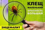 Осторожно: клещи! Осторожно: клещи!