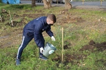 Начало положено: волонтеры УАЗа высадили деревья и кусты у женской консультации в Красногорском районе