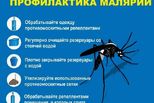 Малярия. Переносчик есть, болезни нет!