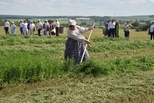 Более 200 миллионов рублей из областного бюджета получили аграрии Среднего Урала на приобретение сельхозтехники