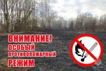 Особый противопожарный режим с 12 апреля начнёт действовать в Свердловской области