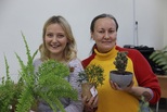 Выбирай нового зелёного друга!