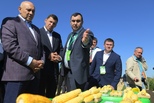 Евгений Куйвашев посетил главную сельскохозяйственную выставку страны – Всероссийский день поля-2021 в Свердловской области